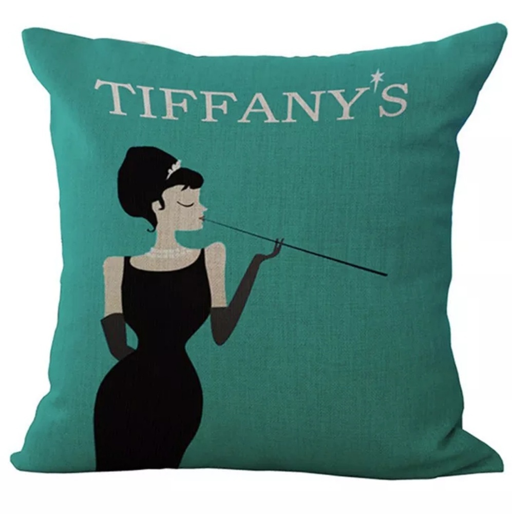 2 Pillow covers/shams